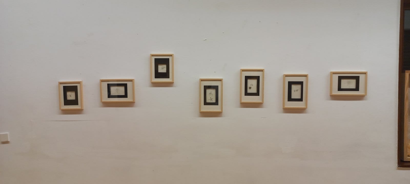 Estació · Avearium · 08