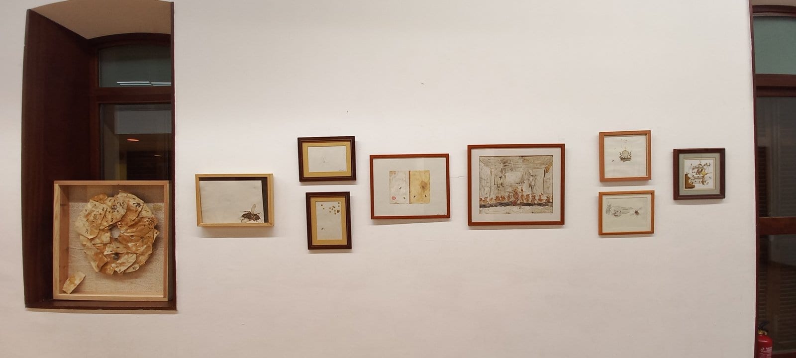 Estació · Avearium · 09