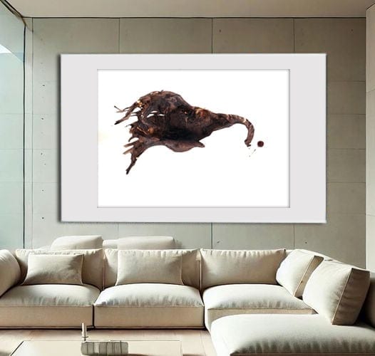 Elephant 1
