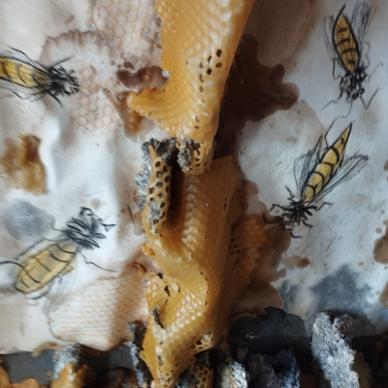 Cuadro Abejas 2