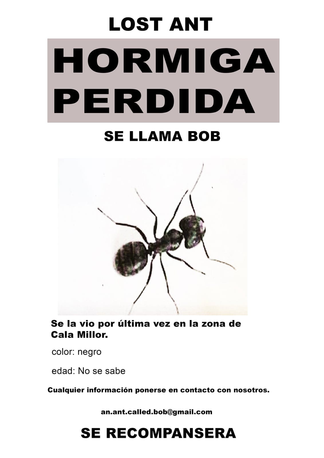 Poster Hormiga Perdida