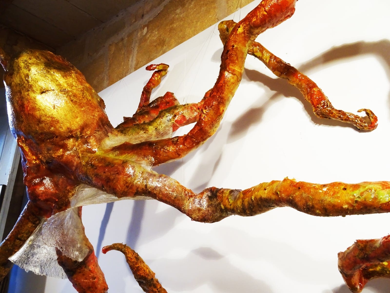 Pulpo Toni