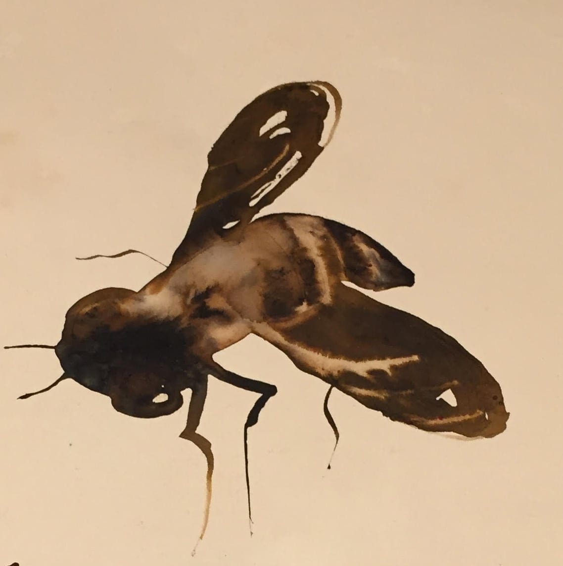 Abeja