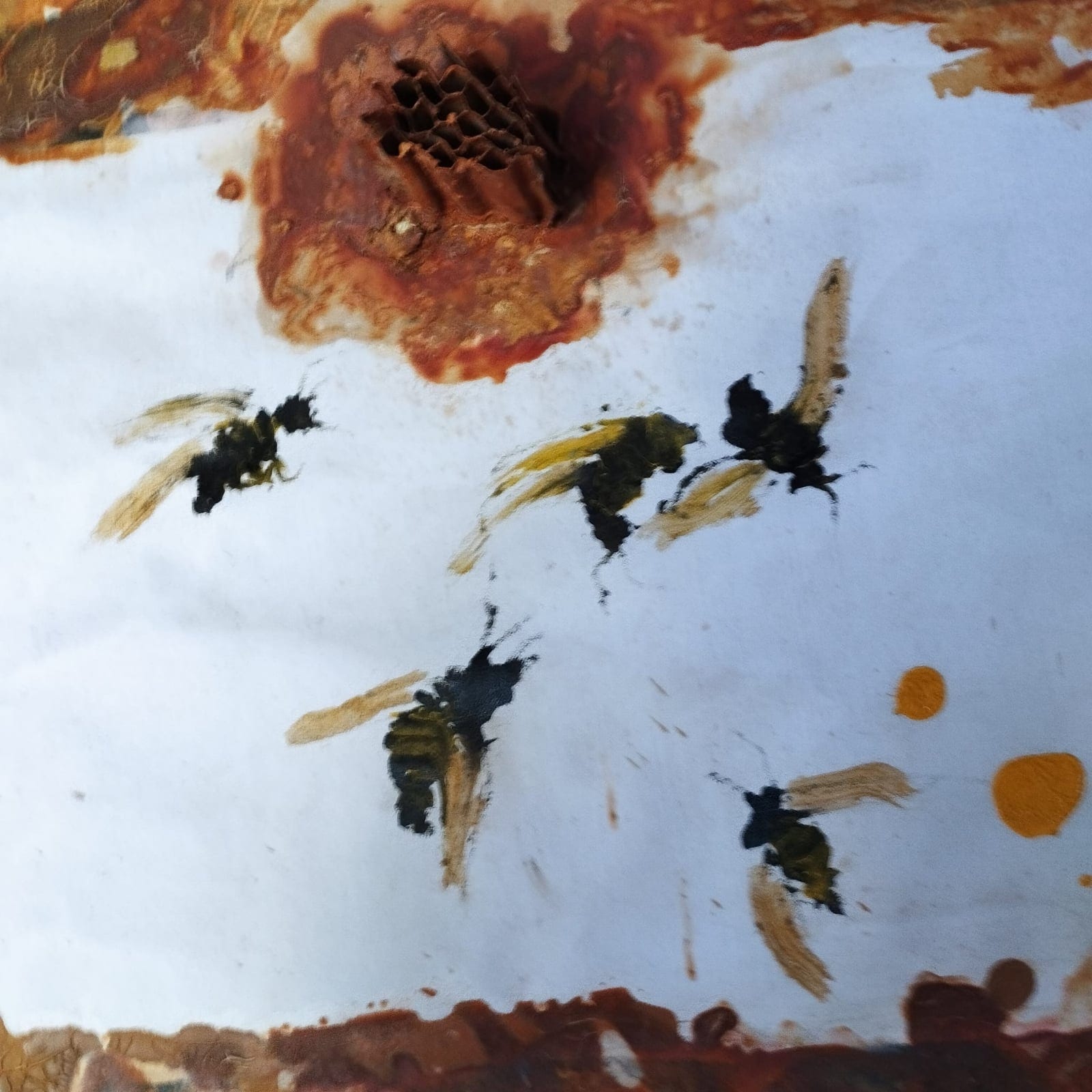 Abejas 1